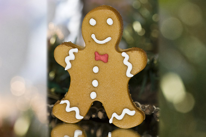 Gingerbread Man