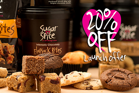 Sugar n Spice website launch 