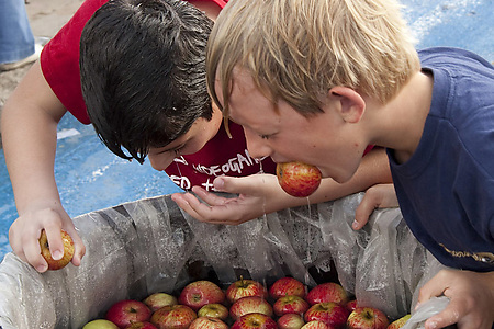 apple-bobbing